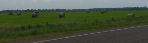 Hay bales